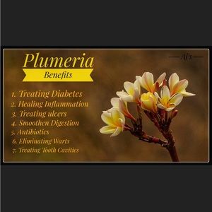 Plumeria&Vanilla, jasmine , sandalwood  Eo skin health benefits